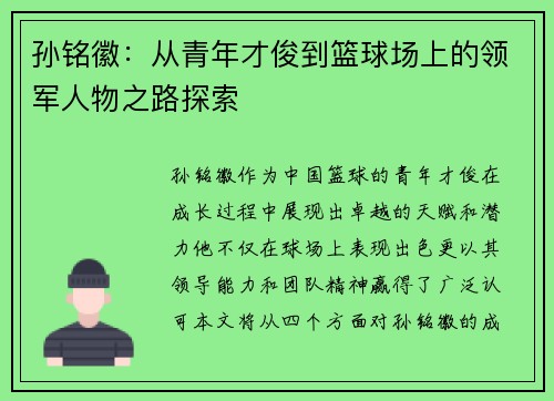 孙铭徽：从青年才俊到篮球场上的领军人物之路探索