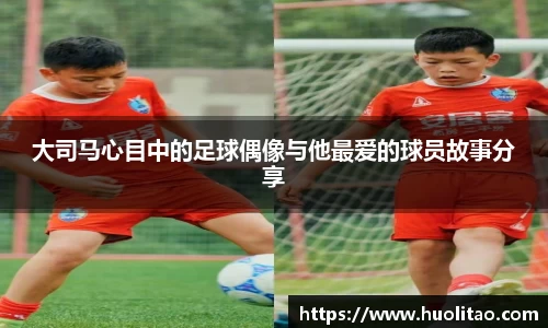 球王会体育app入口