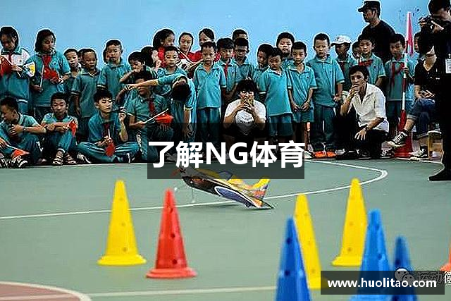 了解NG体育